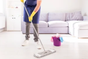 House Cleaning Services in St. Louis